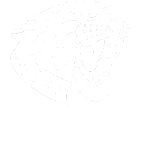 Love Is Freedom 1989